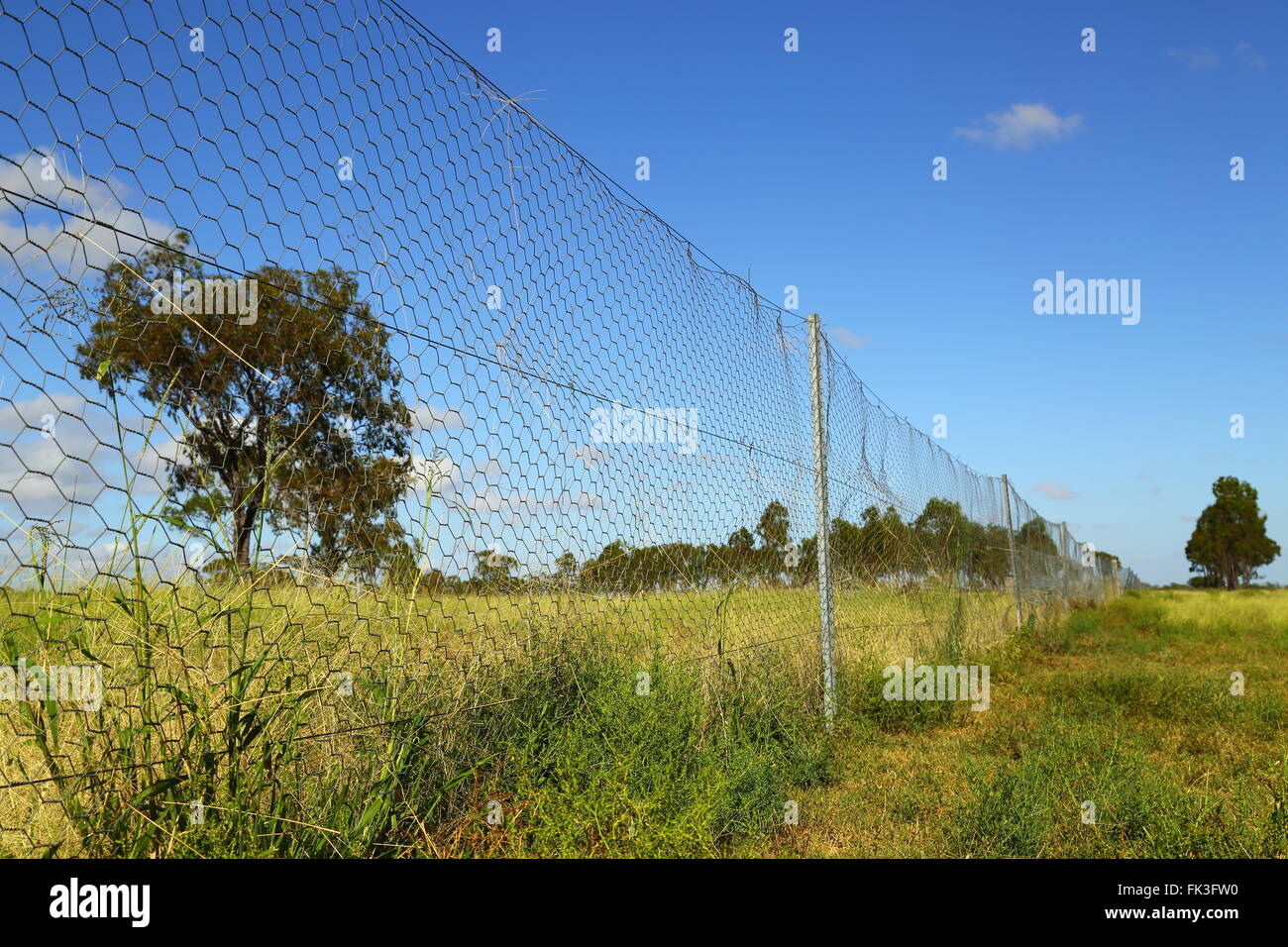 Le Dingo Barrière, également appelé le chien, dingo fence clôture et la lutte contre l'exclusion-fence Banque D'Images