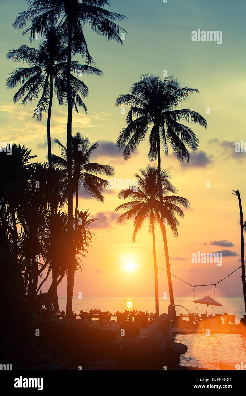 Au cours de la côte tropical magnifique coucher de soleil. Banque D'Images