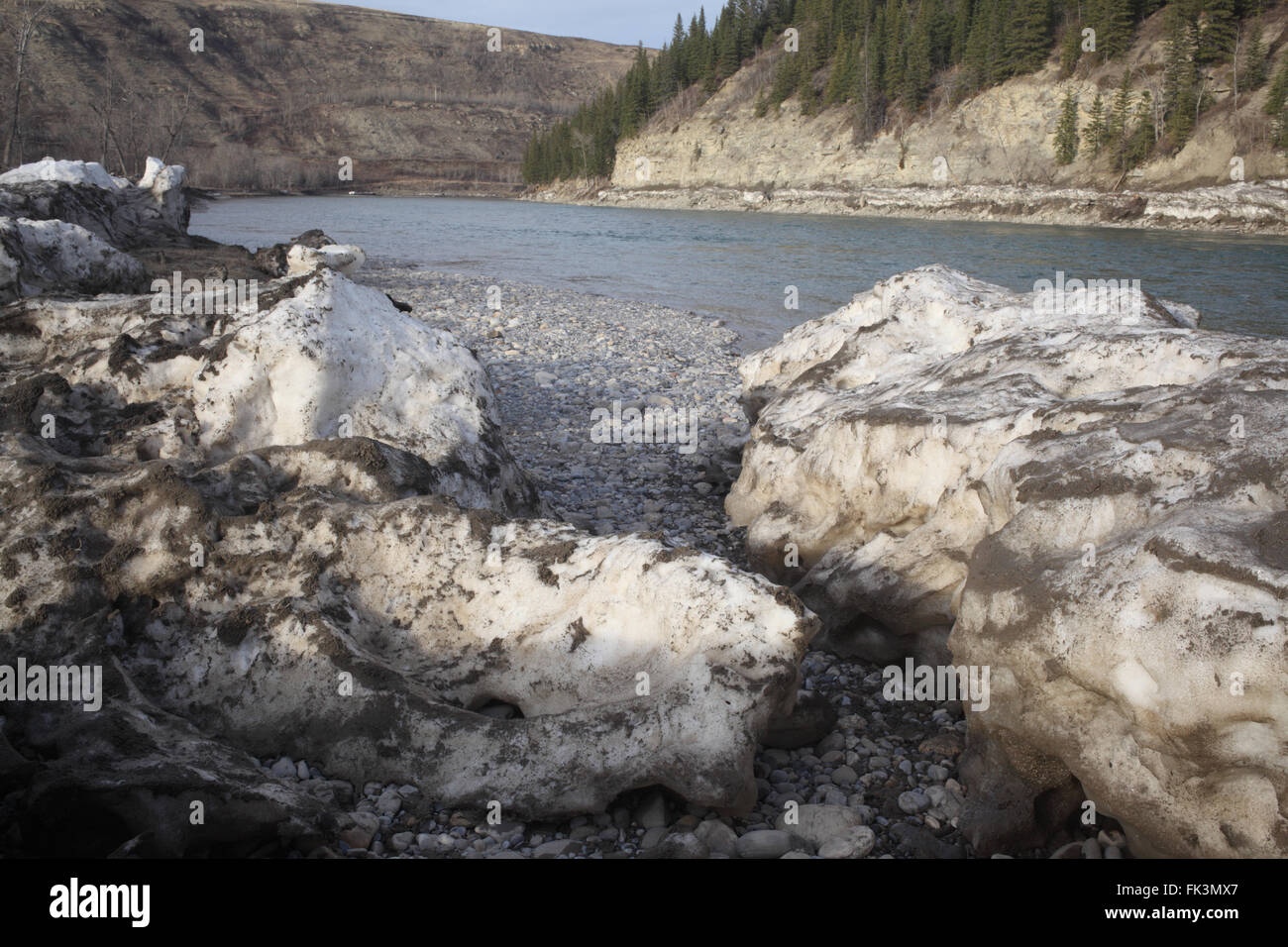 La neige glacée sale sur les rives de la rivière Bow dans le Parc Provincial Glenbow Ranch (Alberta, Canada). Banque D'Images