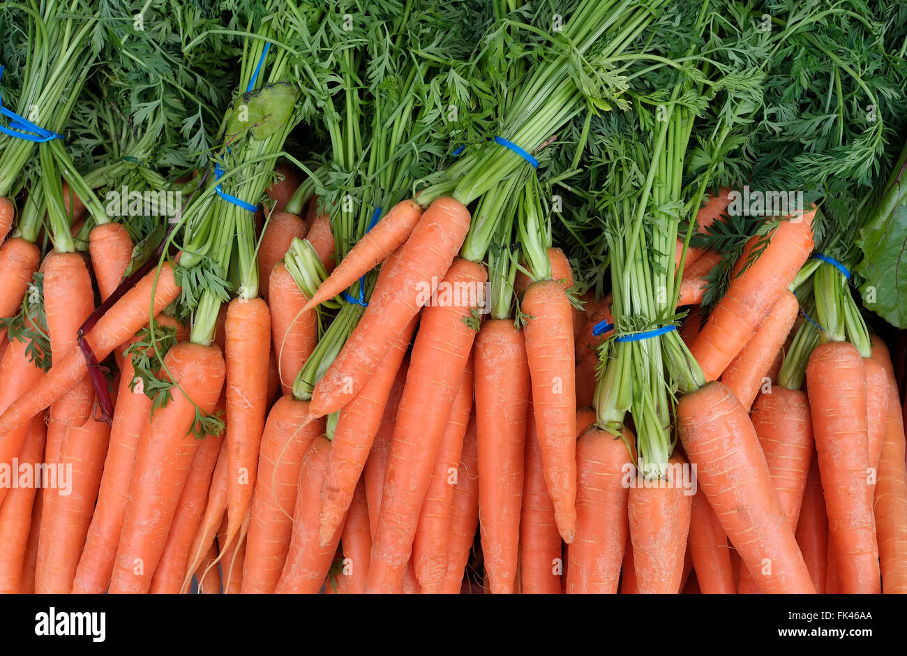 Bouquets de carottes biologiques sur market stall Banque D'Images