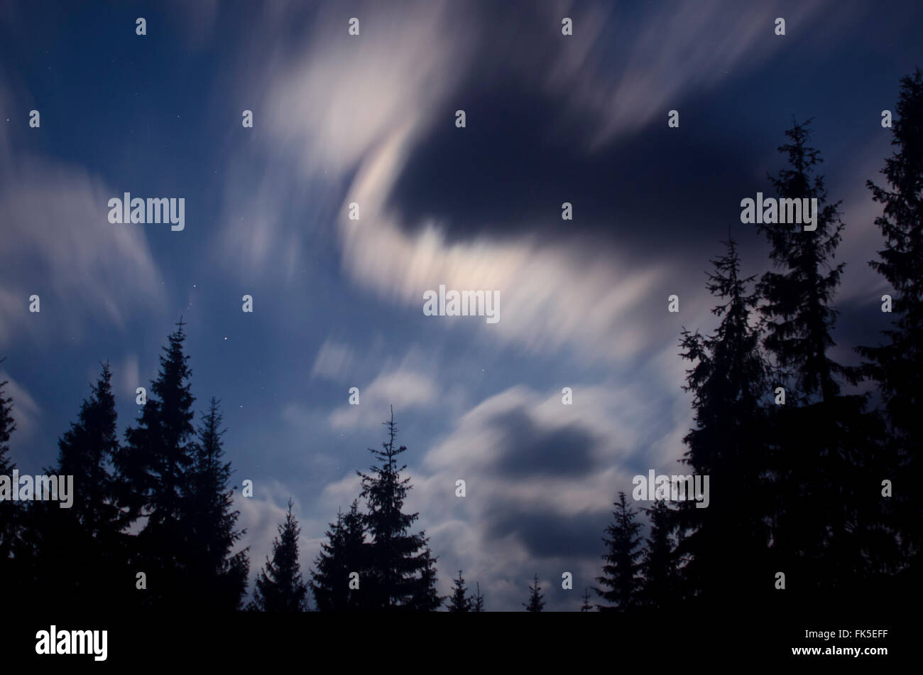 Étoiles et les nuages au-dessus de forêts de sapins et de longs temps d'exposition Banque D'Images