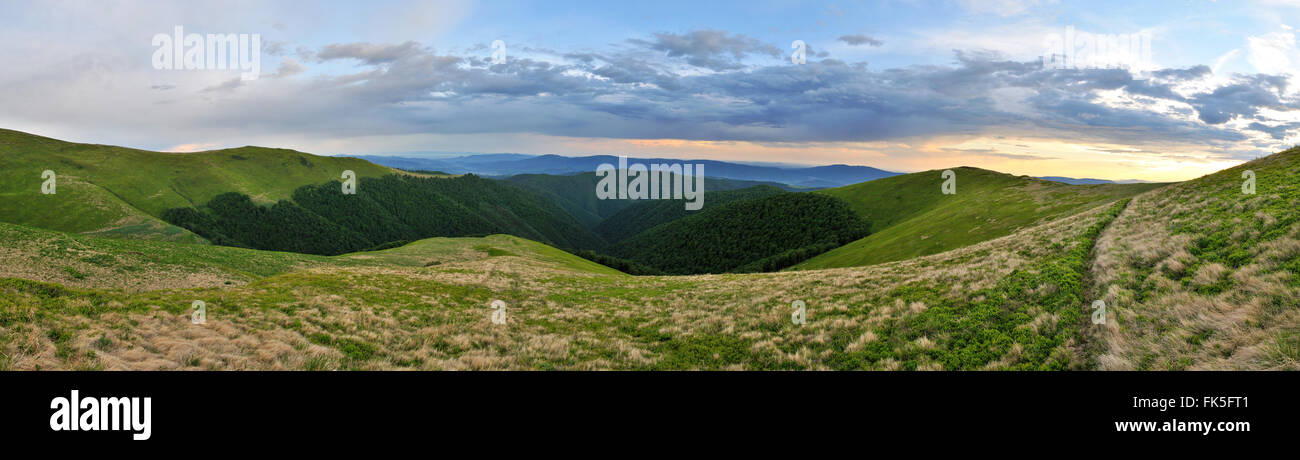 Soir dans les montagnes. Polonyna Borzhava. Carpates. L'Ukraine Banque D'Images
