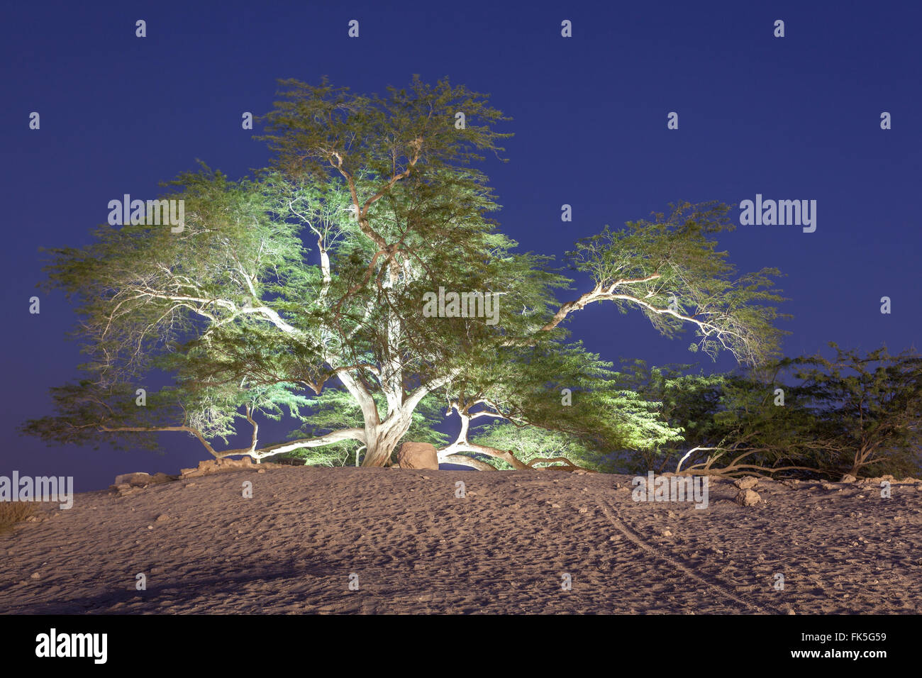 Arbre de la vie au Bahrein Banque D'Images