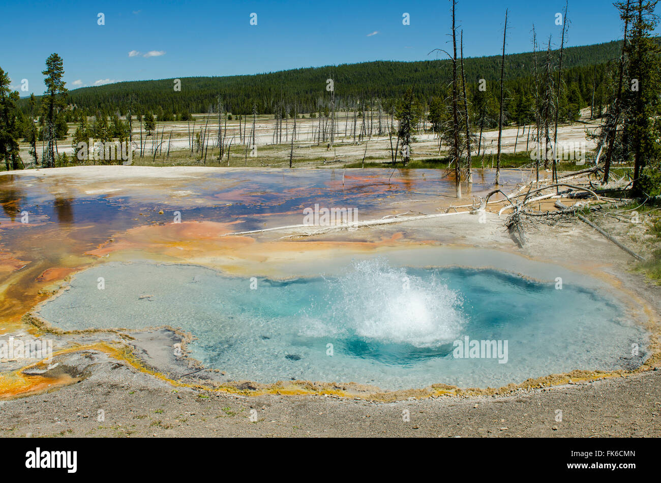 Printemps Firehole, Parc National de Yellowstone, UNESCO World Heritage Site, Wyoming, États-Unis d'Amérique, Amérique du Nord Banque D'Images