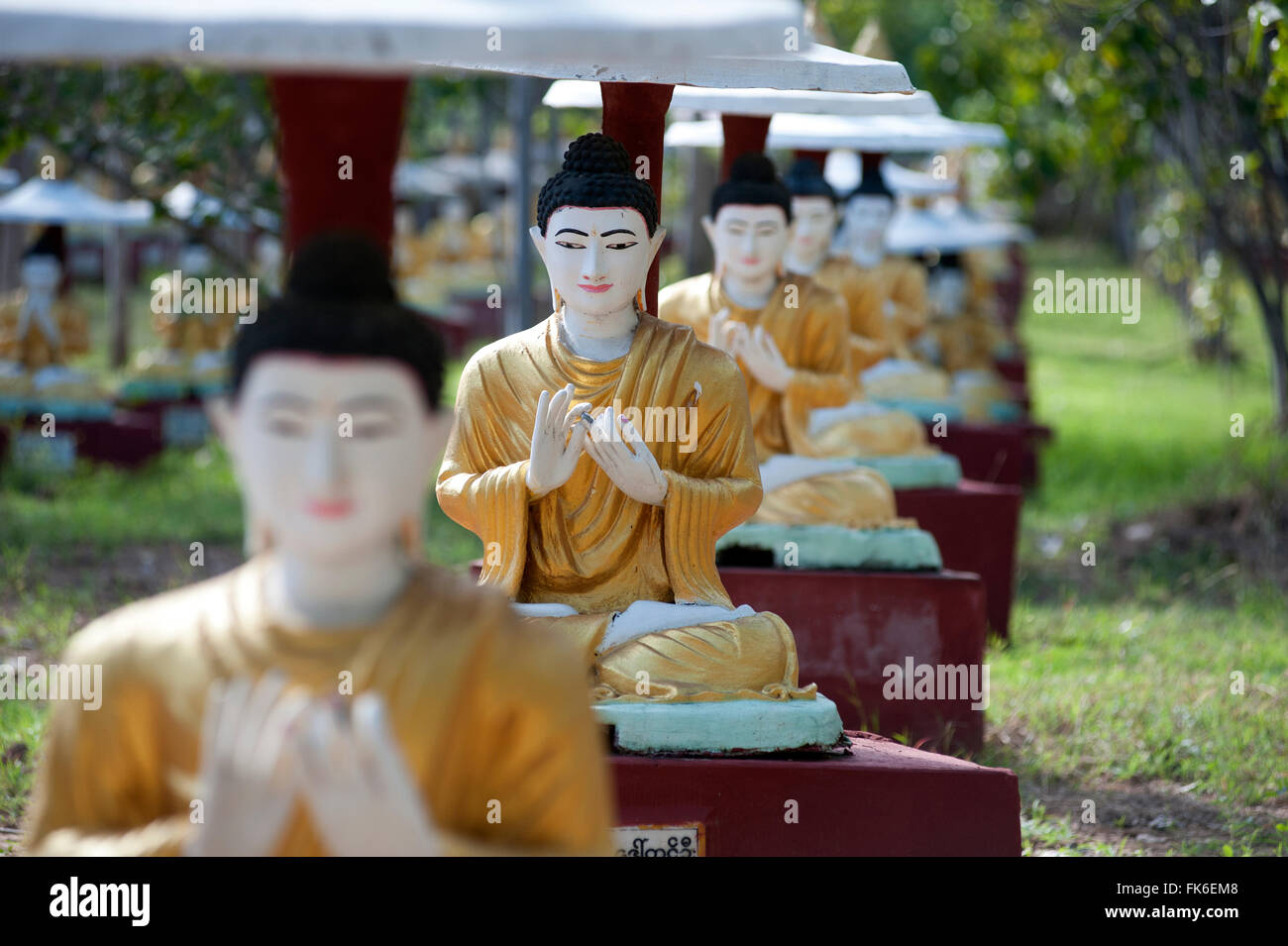Statues de Bouddha chaque planté à côté d'un arbre en Bo Maha Bodhi Ta Htaung, 1000 grand Bo arbres, Monywa, Rhône-Alpes Banque D'Images