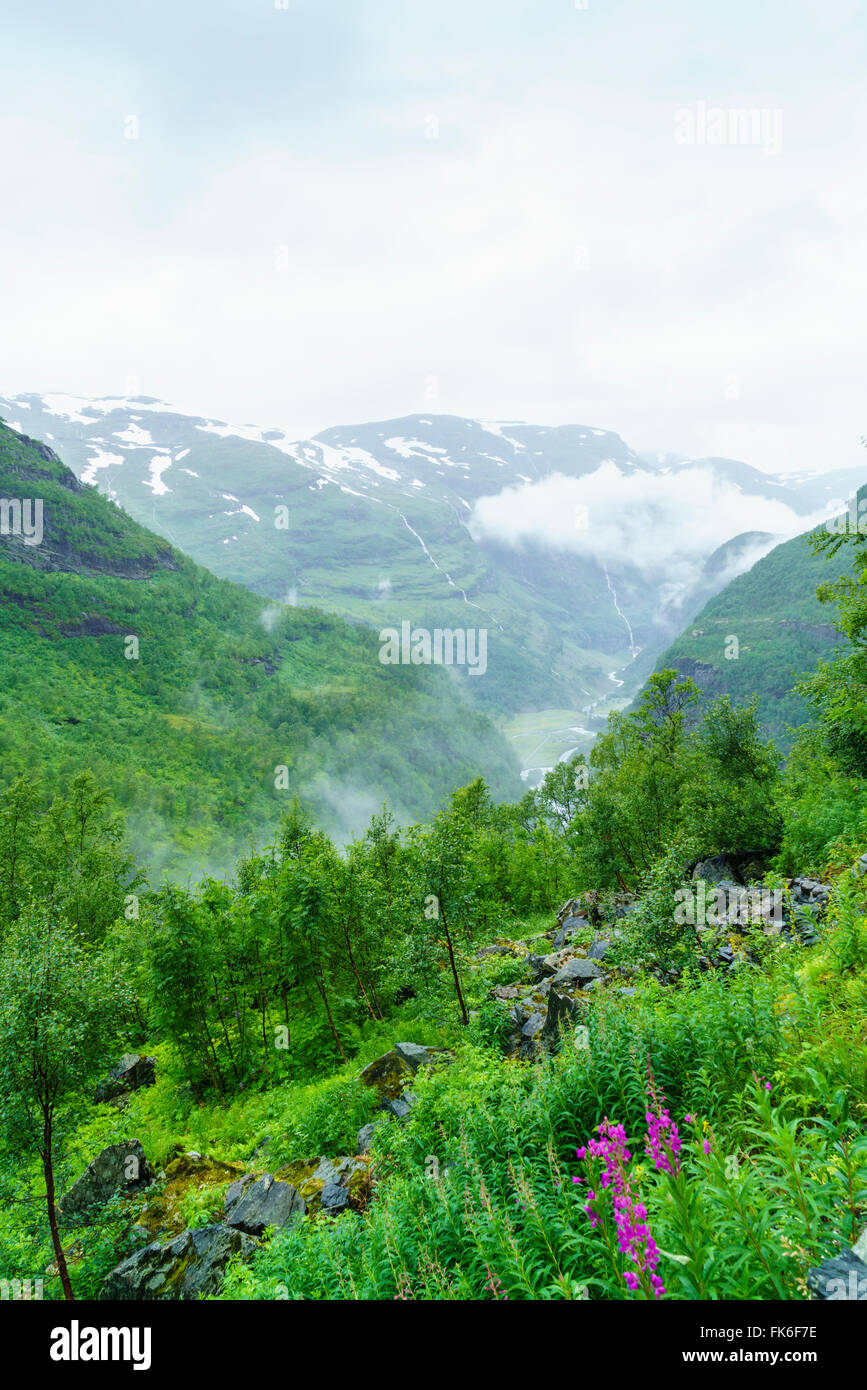 Des cascades et des vallées de montagne vue de Vatnahalsen, atteint par la Flam Railway, Flamsbana in Norway, Flam, Norvège, Scandinavie Banque D'Images