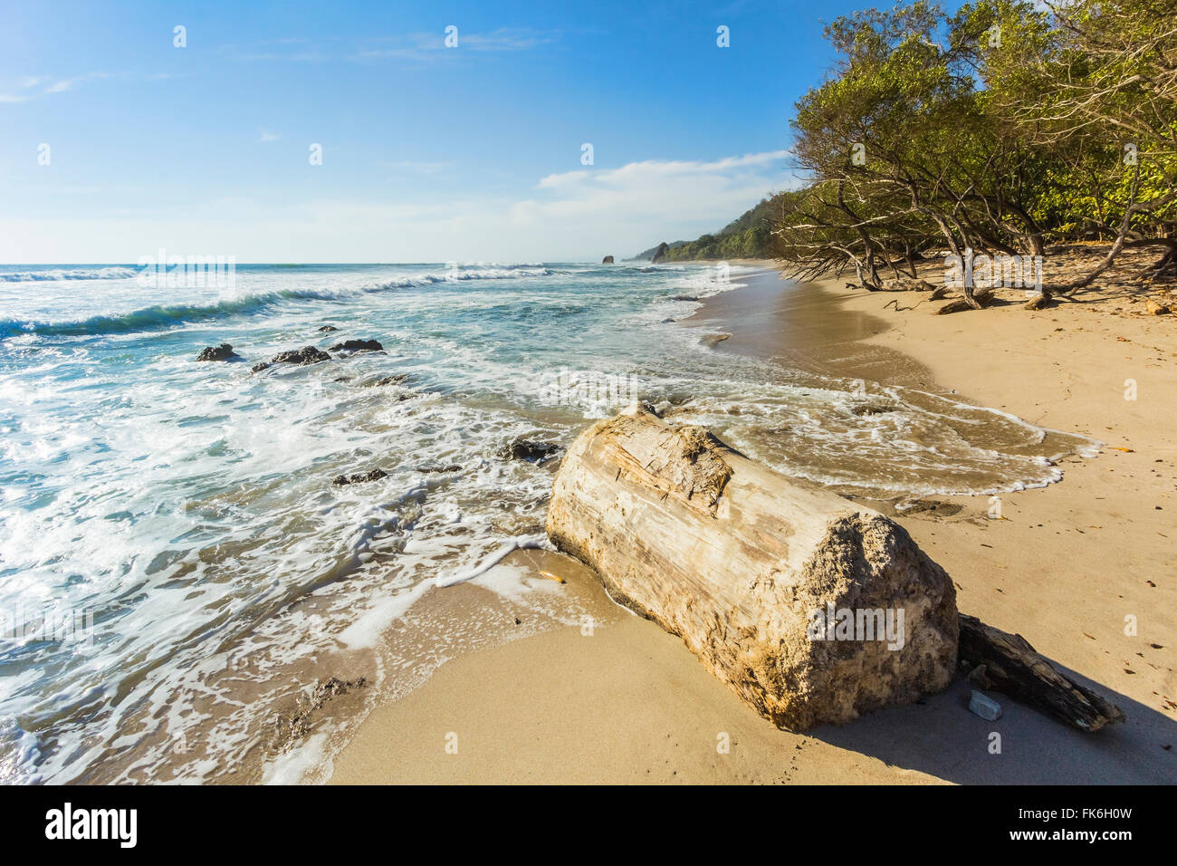 Driftwood sur cette belle plage de surf près de Mal Pais, loin au sud de la Péninsule de Nicoya, Playa Santa Teresa, Puntarenas, Costa Rica Banque D'Images