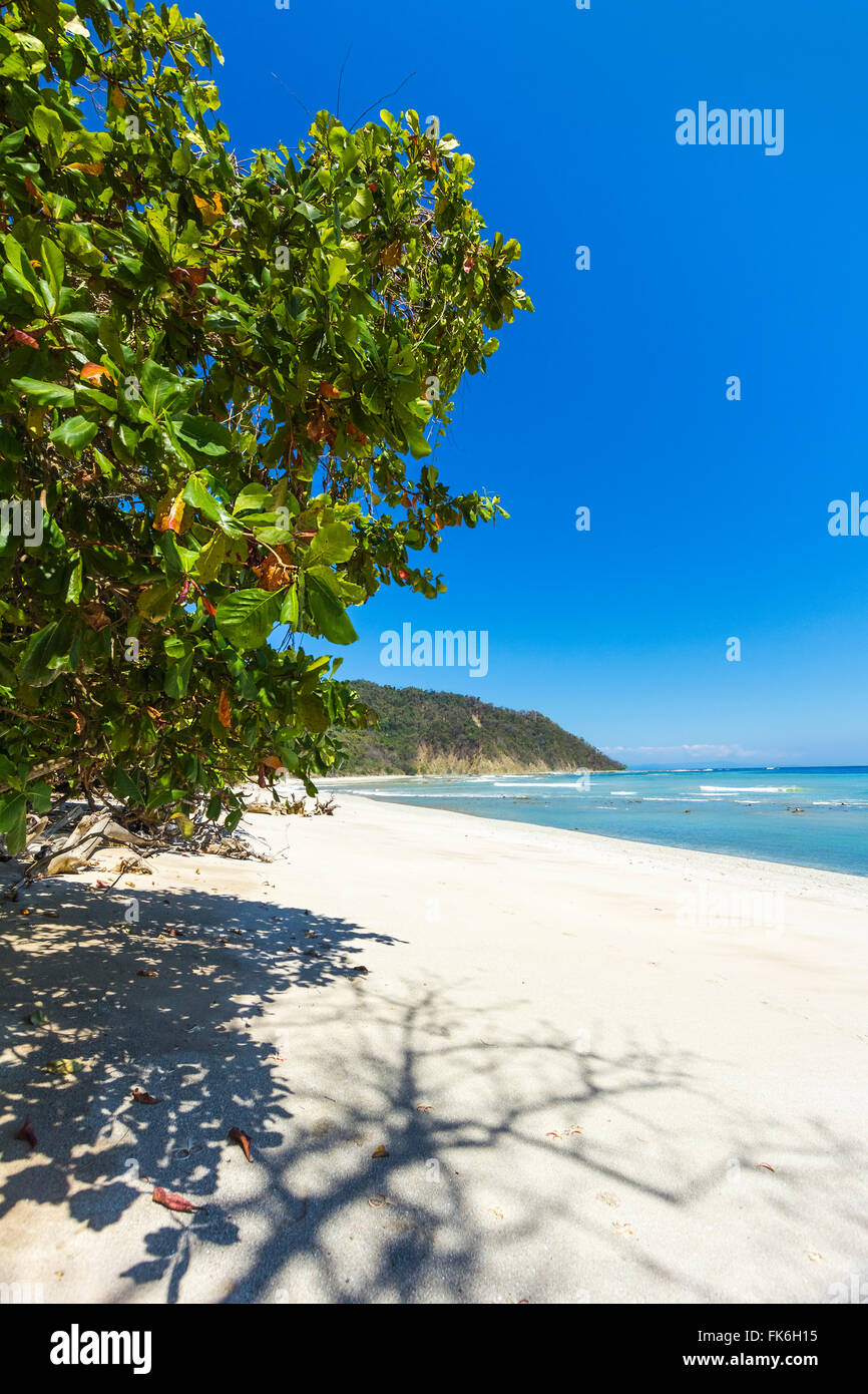 Réserve naturelle de Cabo Blanco et plage à l'extrême pointe sud de la Péninsule de Nicoya, Cabo Blanco, Mal Pais, Puntarenas, Costa Rica Banque D'Images
