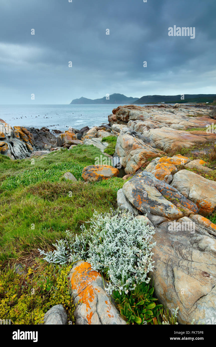 Le Cap de Bonne Espérance à roches noires, Cape Point, Afrique du Sud Banque D'Images