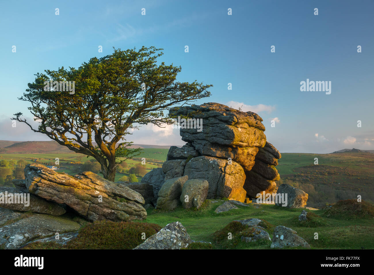 Tor de selle, Dartmoor, dans le Devon, England, UK Banque D'Images