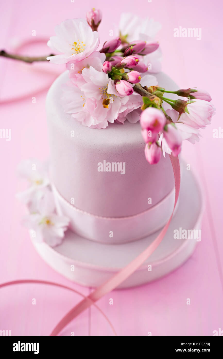 Gâteau rose avec cherryblossoms Banque D'Images