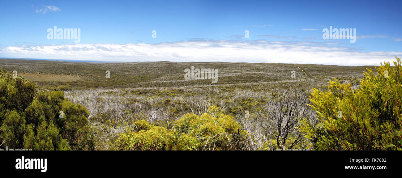 Le paysage dans le parc national de Flinders Chase sur Kangaroo Island, Australie du Sud, Australie. Banque D'Images
