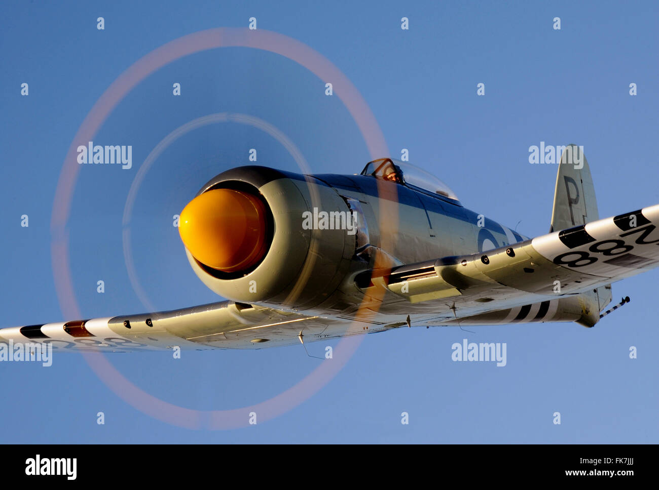 En avion de chasse Hawker Sea Fury Banque D'Images