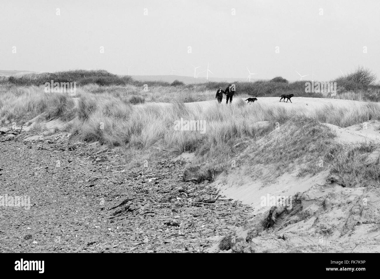 Vive l'hiver à pied plage chiens Bristol Channel South West Coast Path Sands dunes de sable à marée Deuxième plage en noir & blanc Banque D'Images