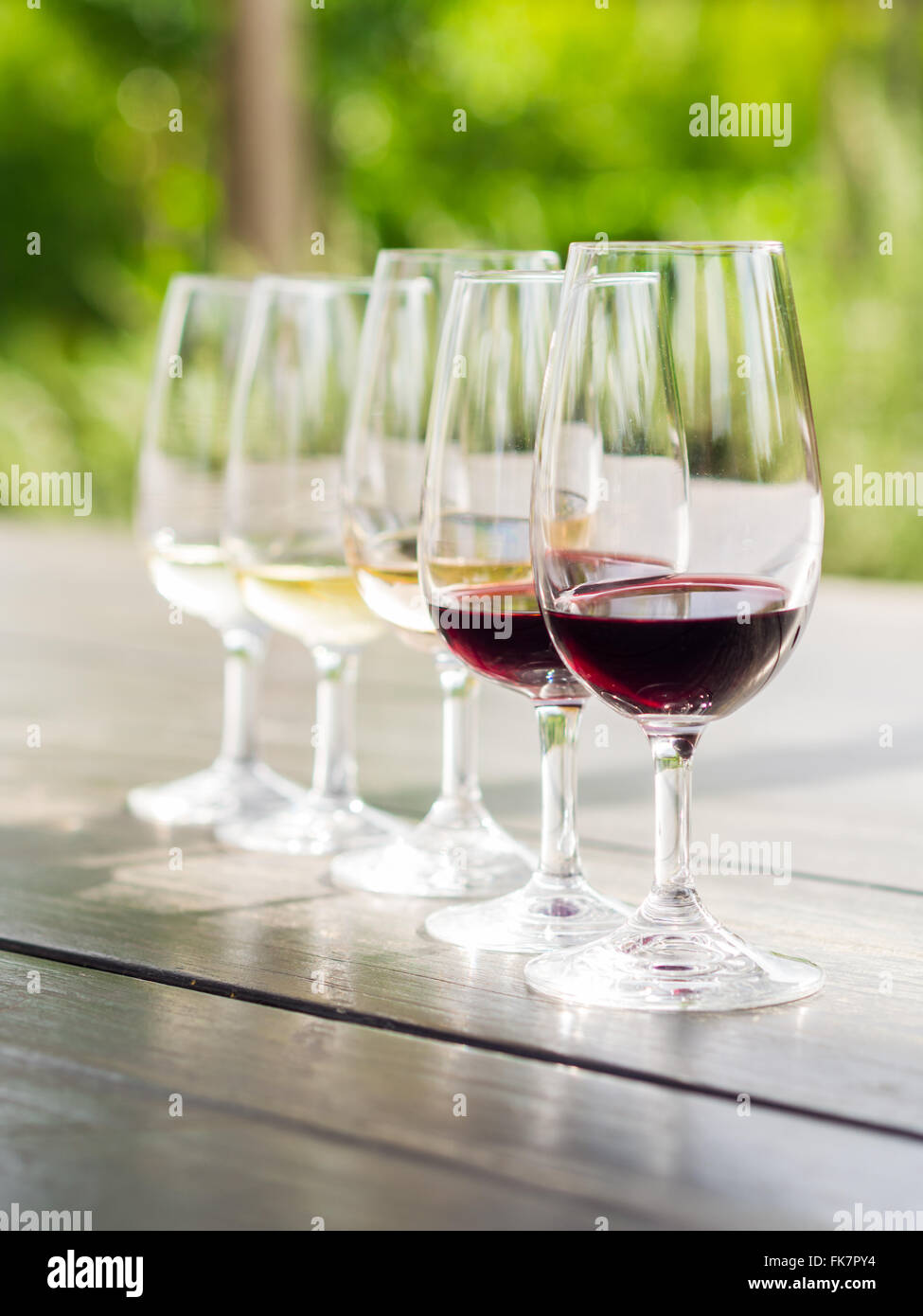Dégustation de vins à Stellenbosch, Afrique du Sud. À partir de l'avant : cabernet sauvignon, merlot, blanc de noir, chardonnay, sauvignon bla Banque D'Images