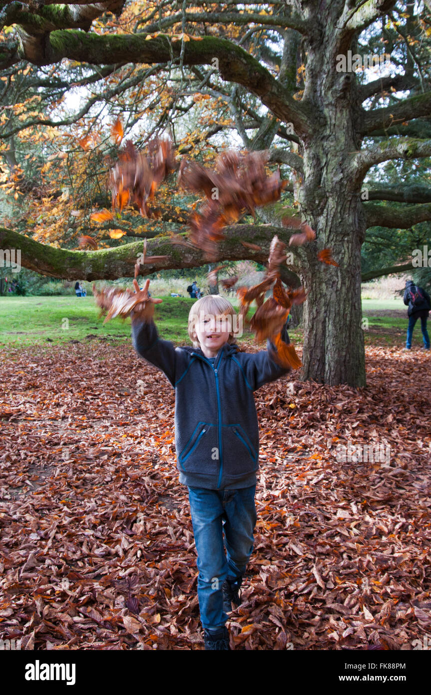 Boy throwing leaves Banque D'Images