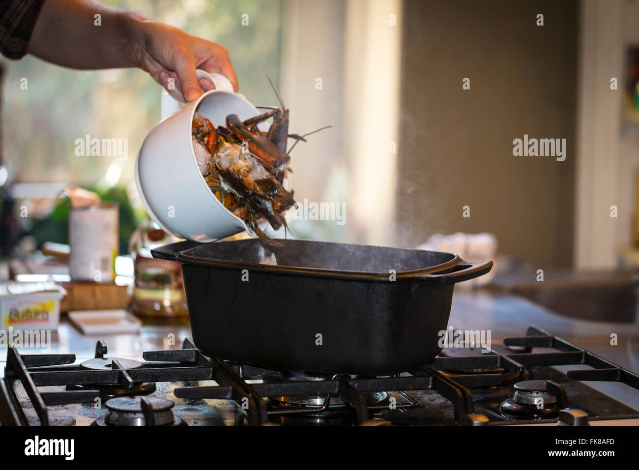Un plat de cuisson du homard, le homard est versé dans un pot sur une cuisinière à gaz Banque D'Images