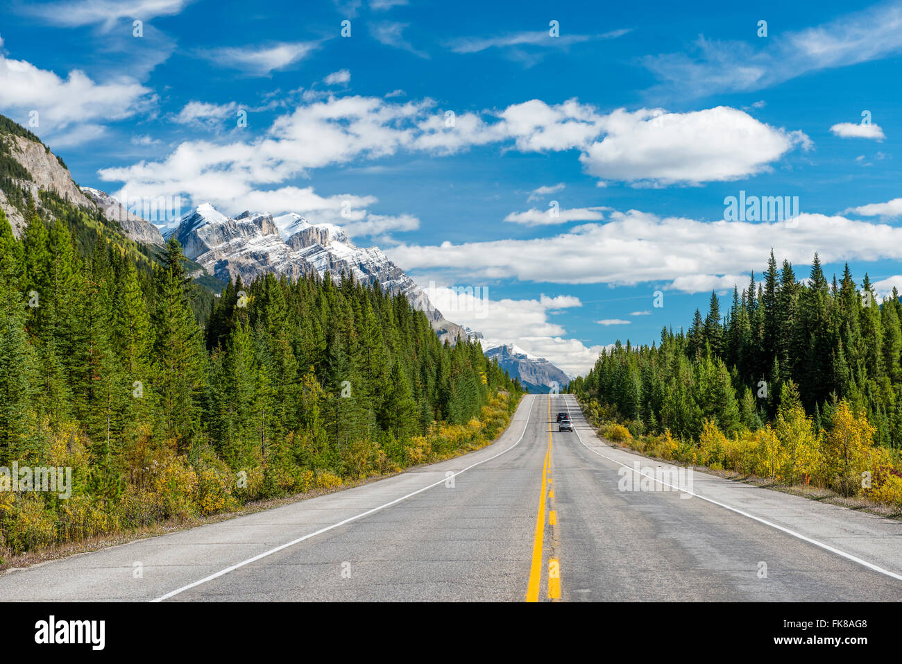 Promenade des glaciers de l'autoroute, l'autoroute 93, Canadian Rockies, Province d'Alberta, Canada Banque D'Images