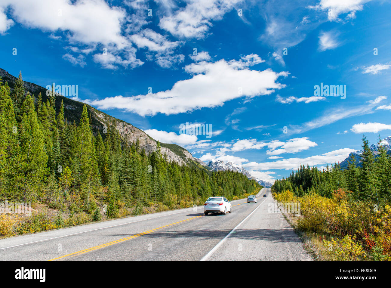 Promenade des glaciers de l'autoroute, l'autoroute 93, Canadian Rockies, Province d'Alberta, Canada Banque D'Images