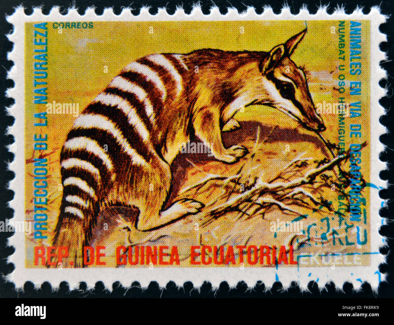 Guinée Équatoriale - circa 1974 : timbres en Guinée dédié aux animaux en voie de disparition, montre le numbat, l'Australie, vers 1974 Banque D'Images