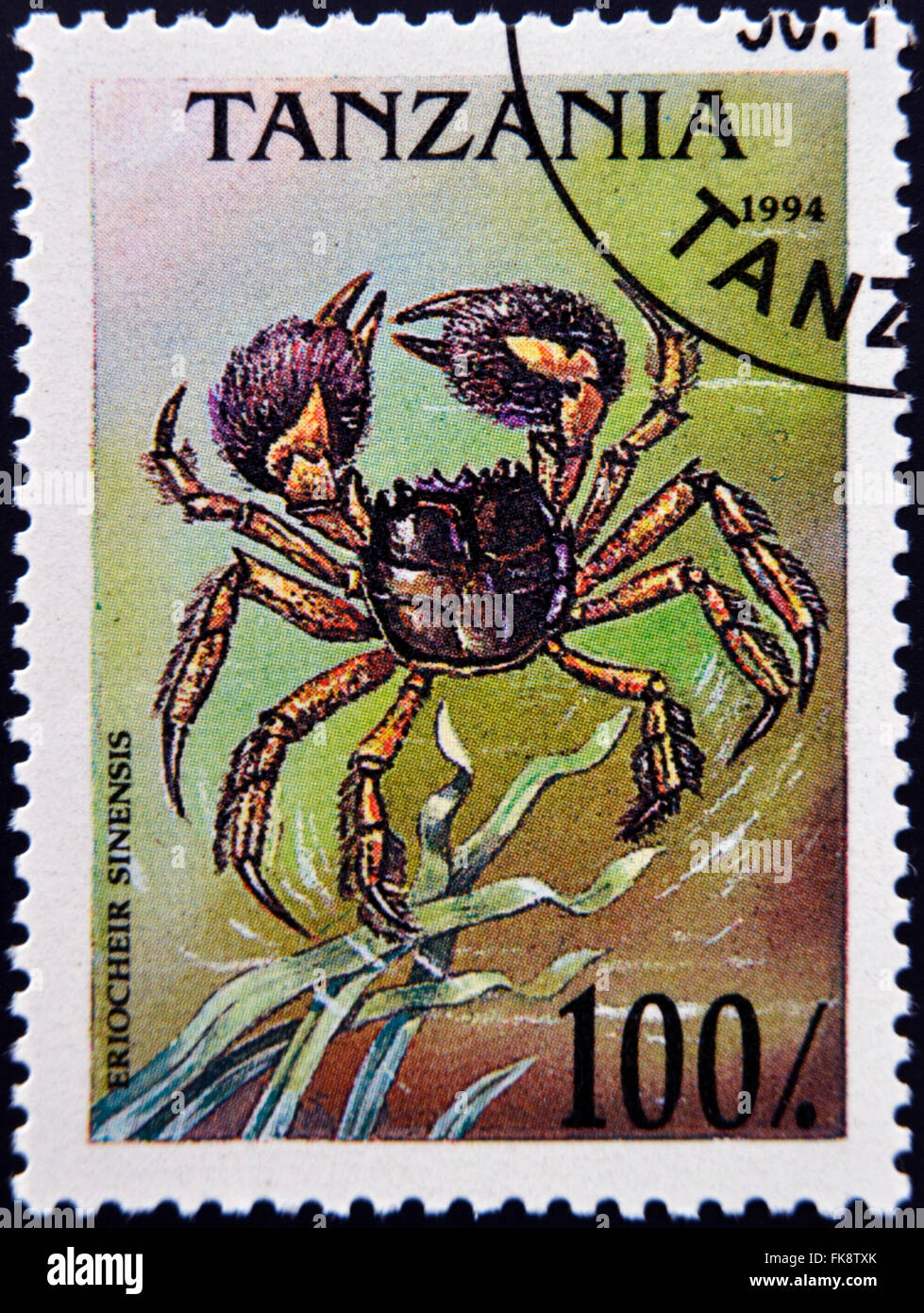 Tanzanie - circa 1994 : timbre imprimé en Tanzanie montre l'image d'un crabe chinois, Eriocheir sinensis, vers 1994 Banque D'Images