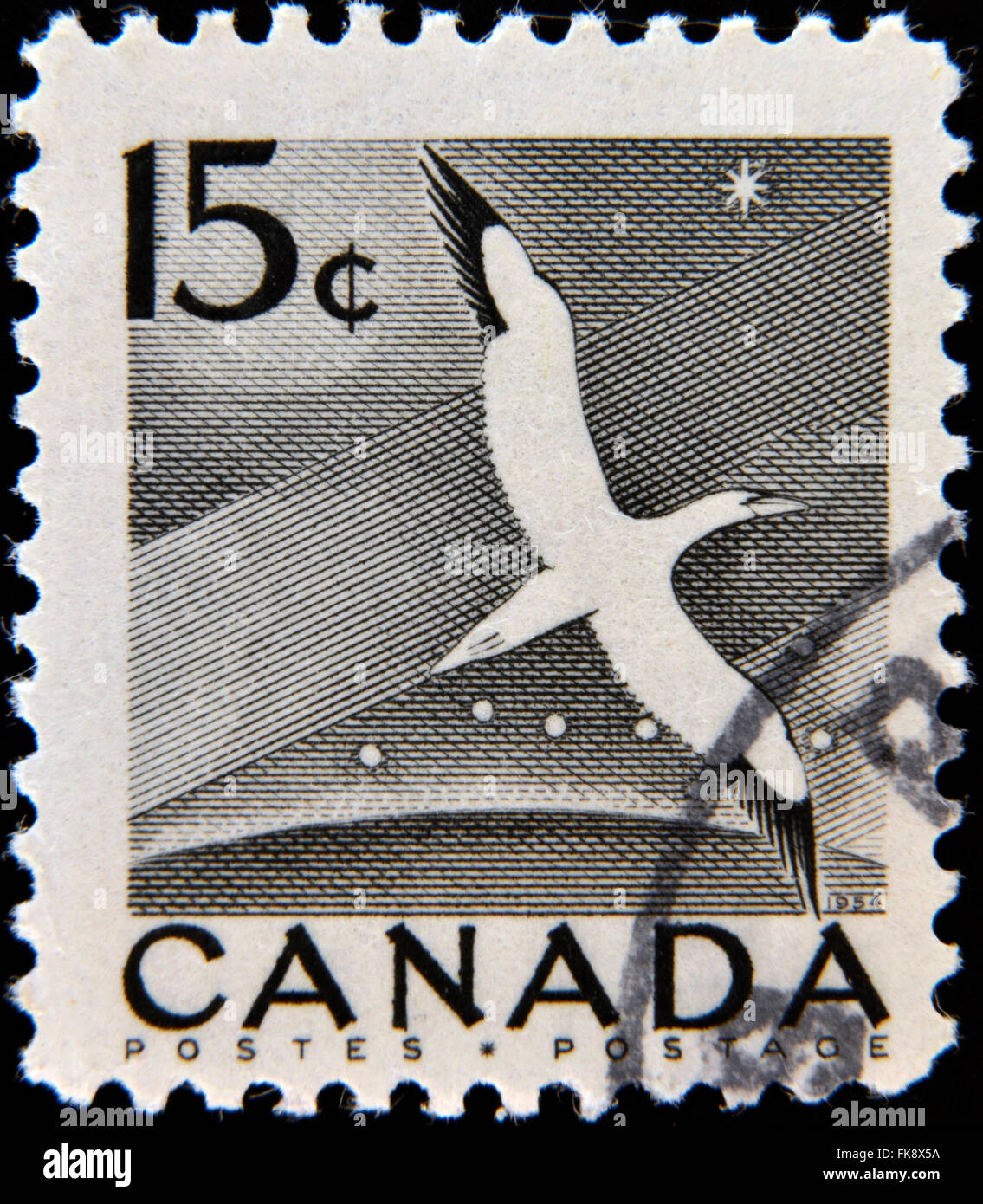 CANADA - circa 1954 : timbre imprimé au Canada montre Gannet, oiseau, circa 1954 Banque D'Images