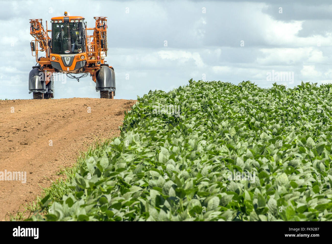Machine de pulvérisation de pesticides agricoles dans les plantations de soja dans la campagne Banque D'Images
