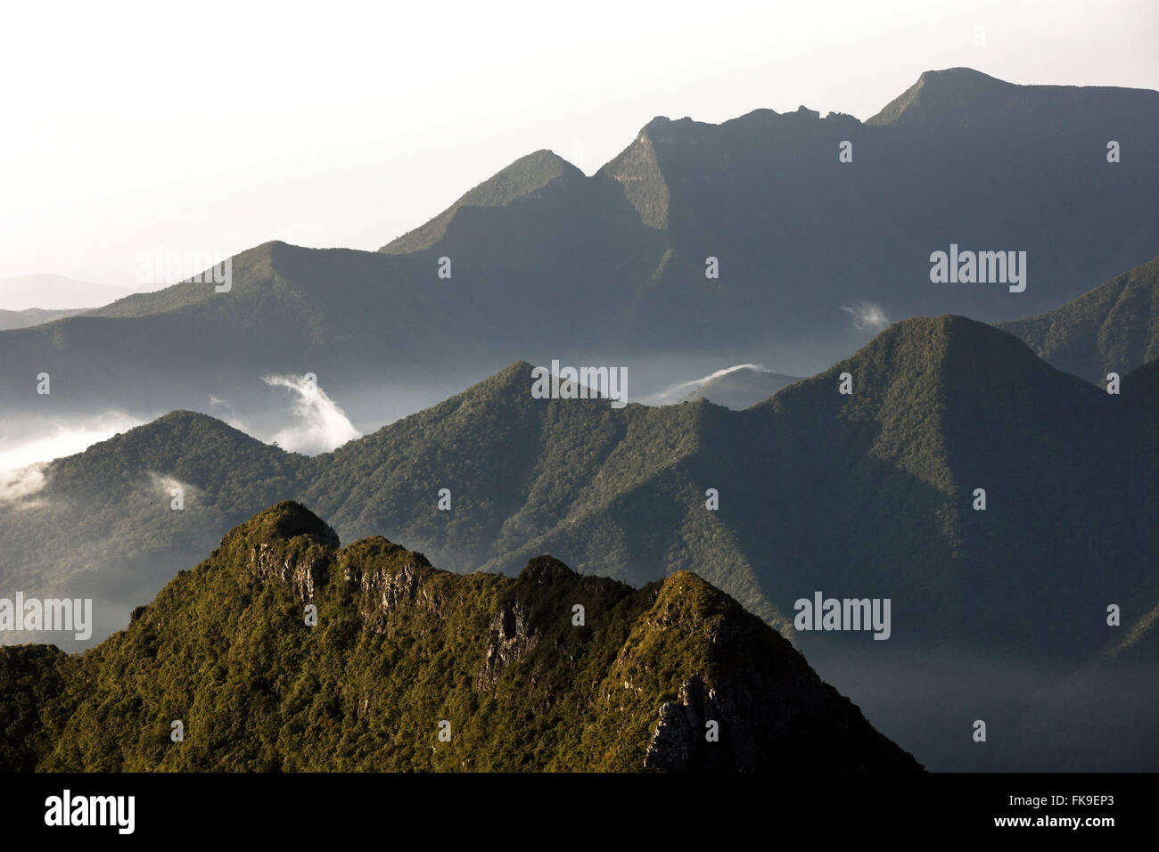 La région montagneuse du parc national de la Serra Geral dans la municipalité de Sao Jose dos manquant Banque D'Images