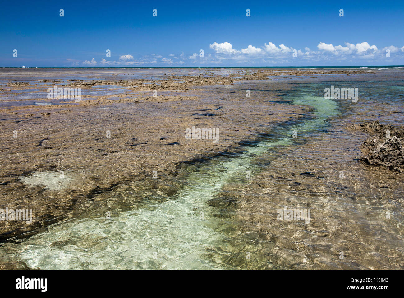 Récifs dans les piscines naturelles dans Morere - Boipeba - Tinhare Archipel Banque D'Images