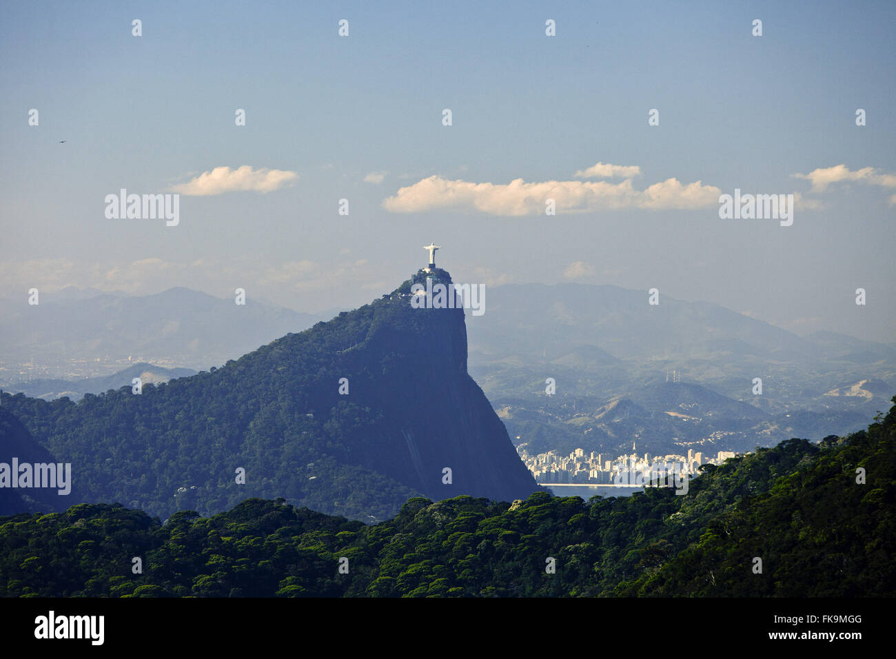 Avec la montagne du Corcovado le Christ Rédempteur dans la forêt de Tijuca Banque D'Images