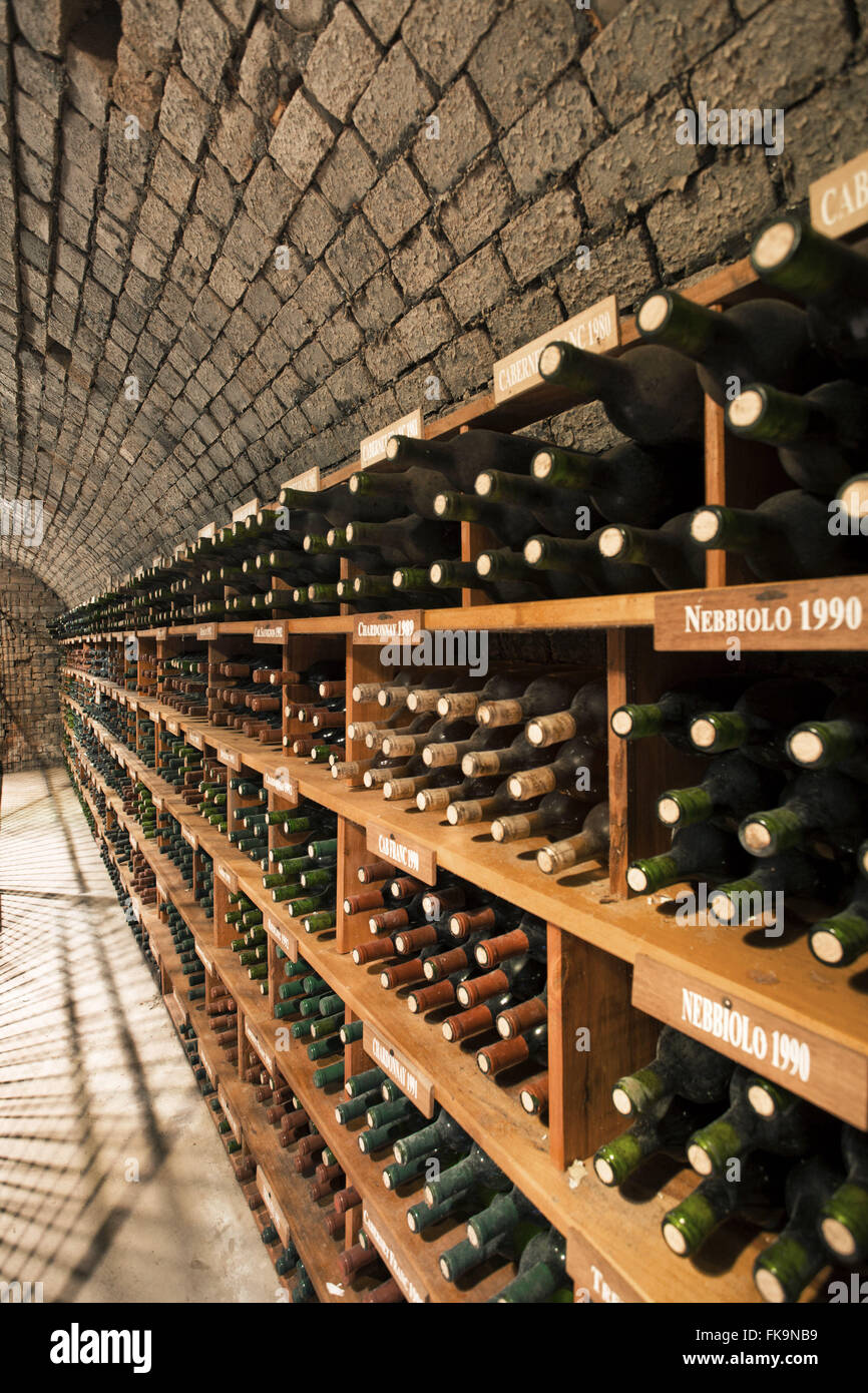 Cellar winery dans la vallée du vignoble - Serra Gaucha Banque D'Images