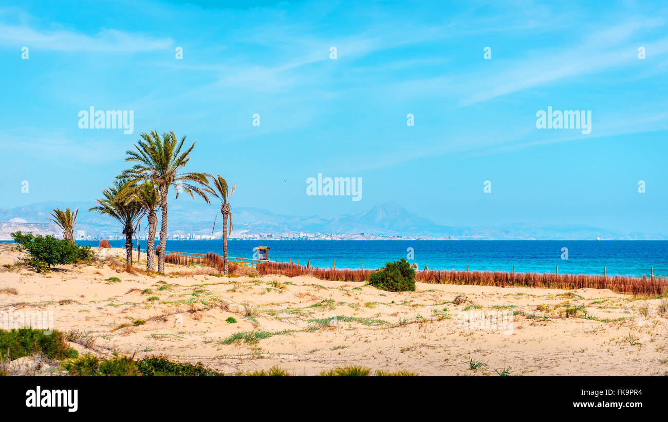 Los Arenales del Sol beach. Province d'Alicante, Costa Blanca. Espagne Banque D'Images