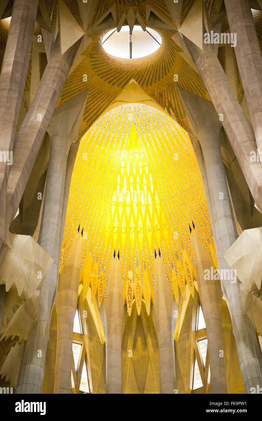 Vue intérieure de la Basilique de la Sagrada Familia - Antoni Gaudi project Banque D'Images