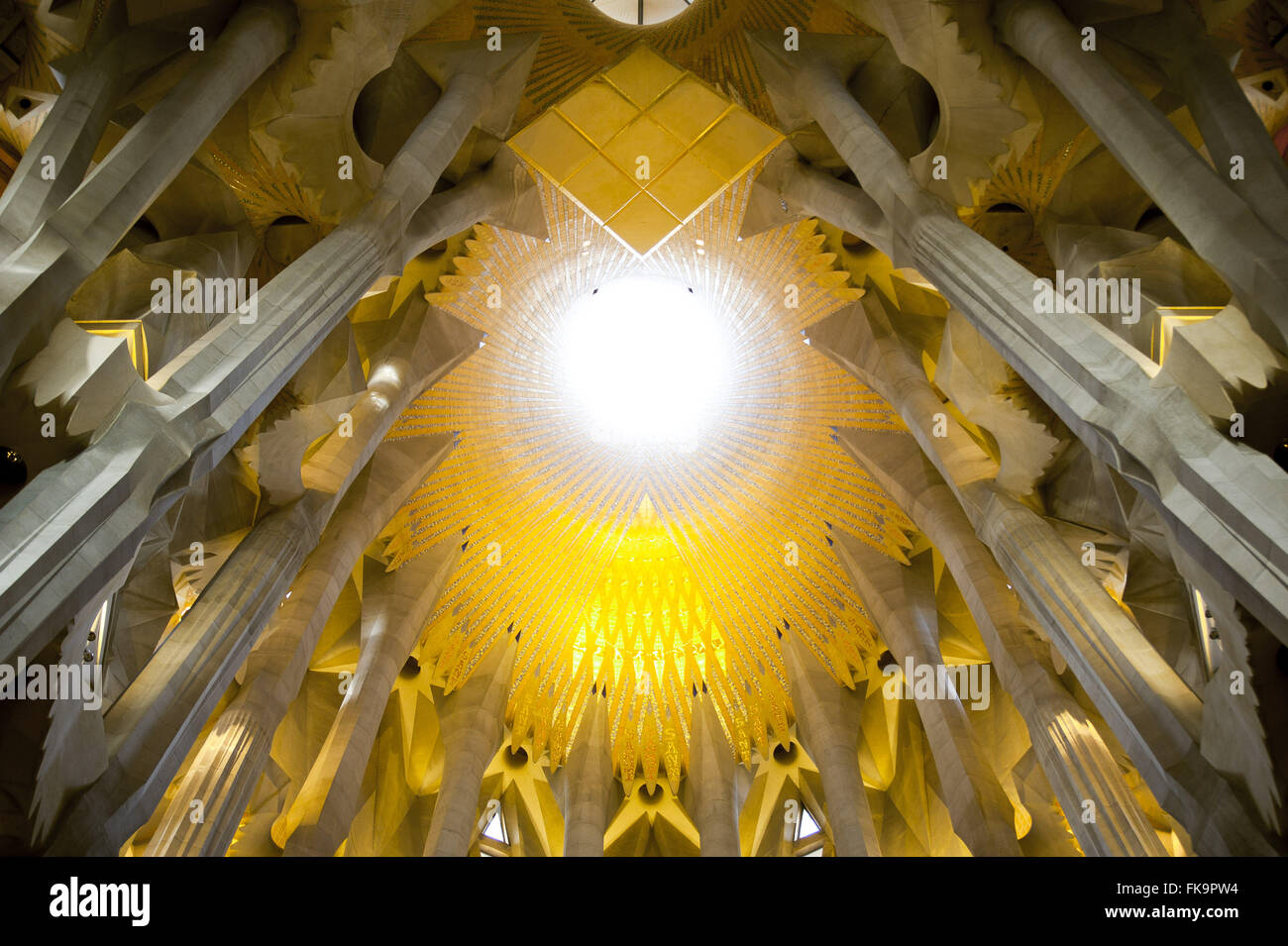 Vue intérieure de la Basilique de la Sagrada Familia - Antoni Gaudi project Banque D'Images