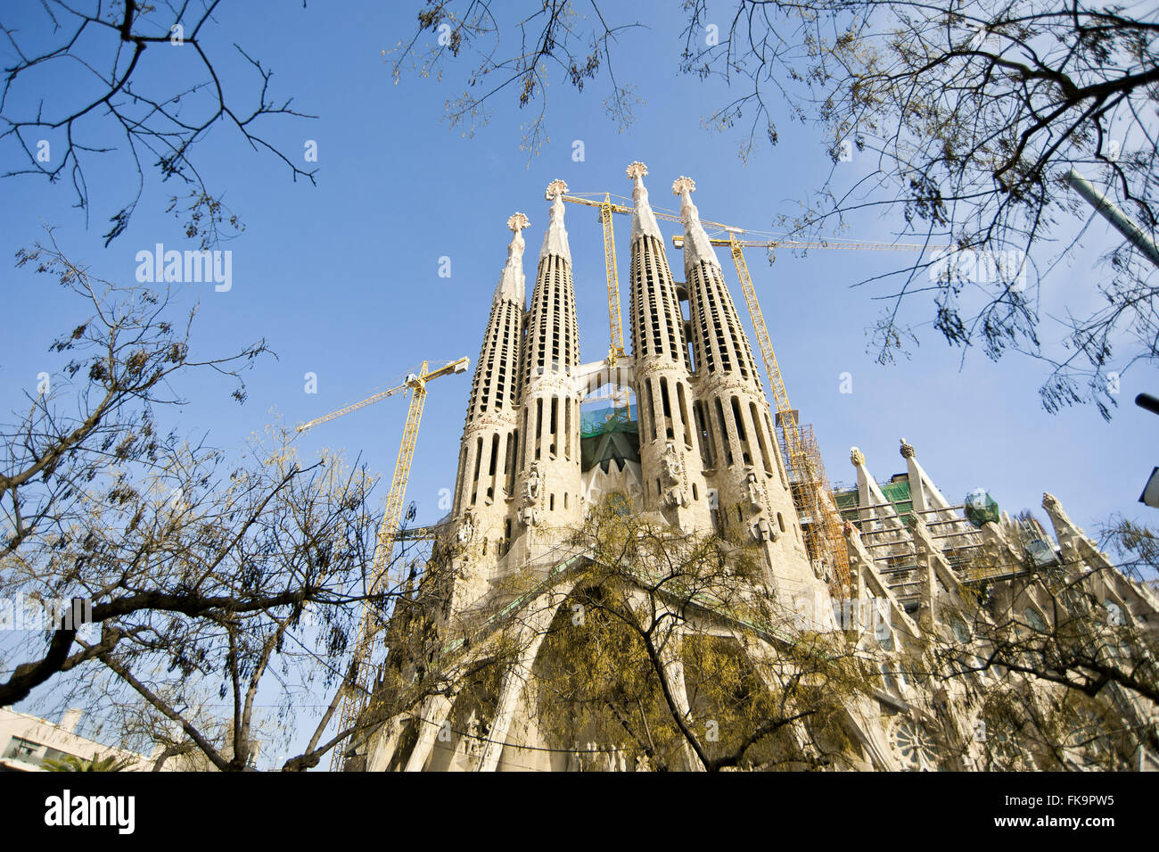 Basilique de la Sagrada Familia - Antoni Gaudi project Banque D'Images