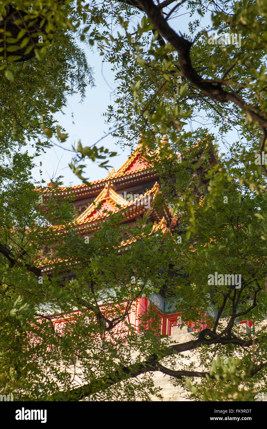 La Cité Interdite, le Palais impérial des dynasties Ming et Qing, Pékin, Chine Banque D'Images