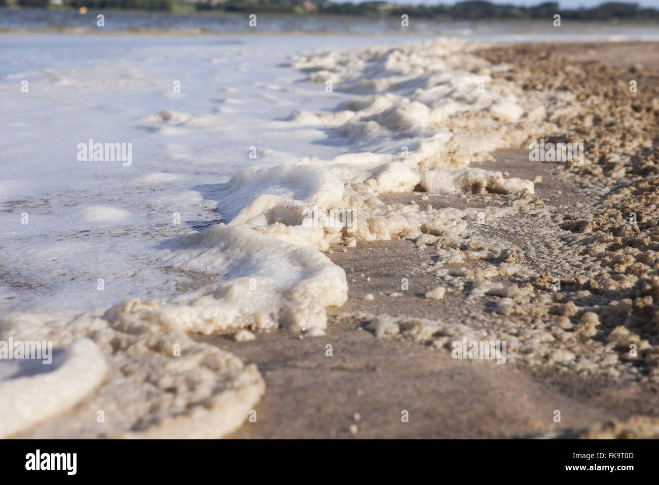 La pollution causée par la mousse sur les bords de l'étang Ibiraquera Banque D'Images