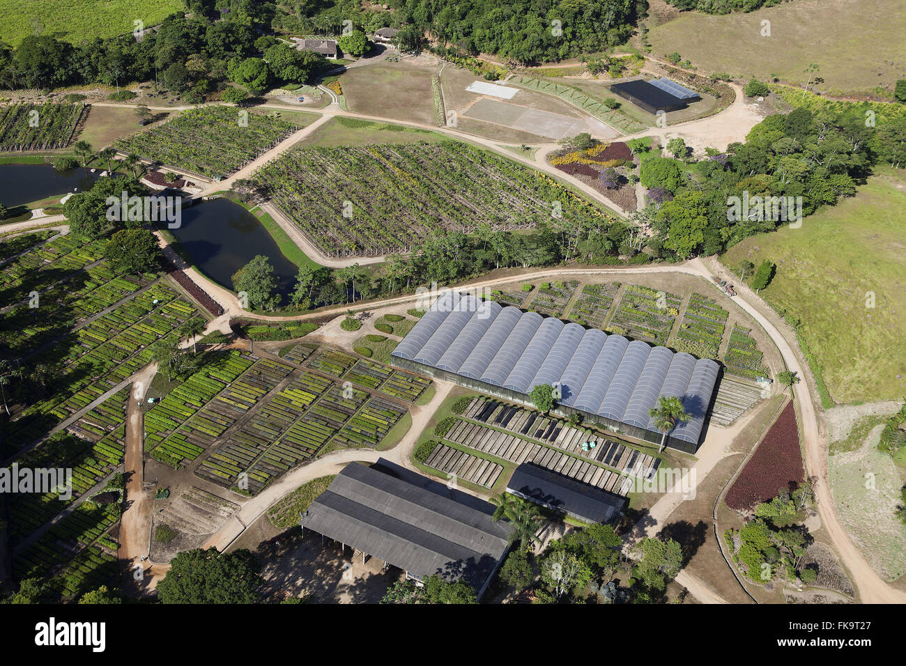 Vue aérienne de plantation plants pour le reboisement de la forêt atlantique dans la campagne Banque D'Images