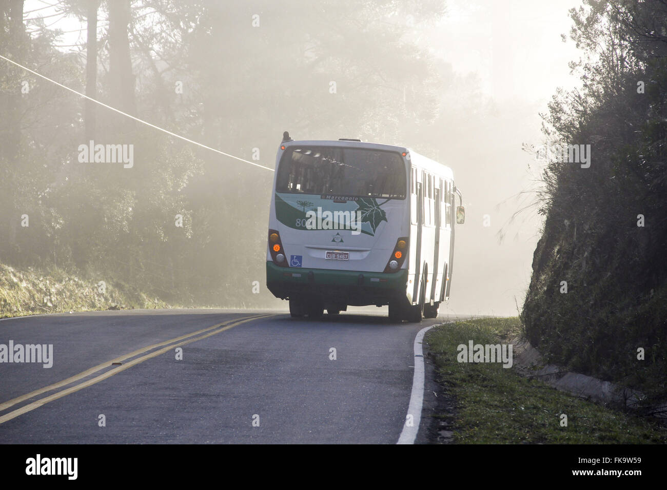 Bus sur Avenida Pedro Paulo - chemin d'Horto Florestal State Park Banque D'Images
