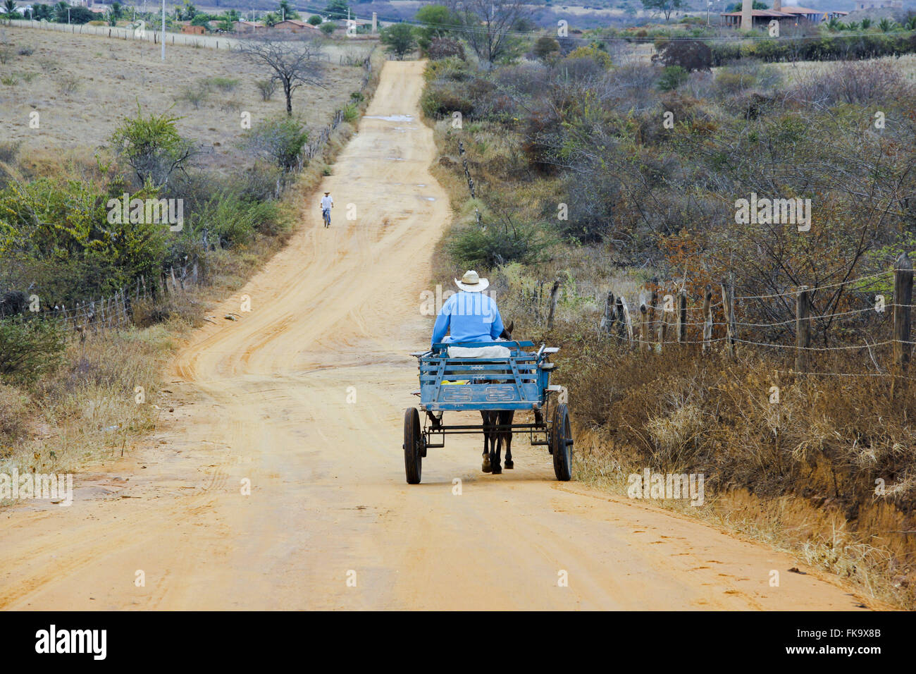 Carroca road au milieu de la végétation de savane de la terre dans l'backlands de Bahia Banque D'Images