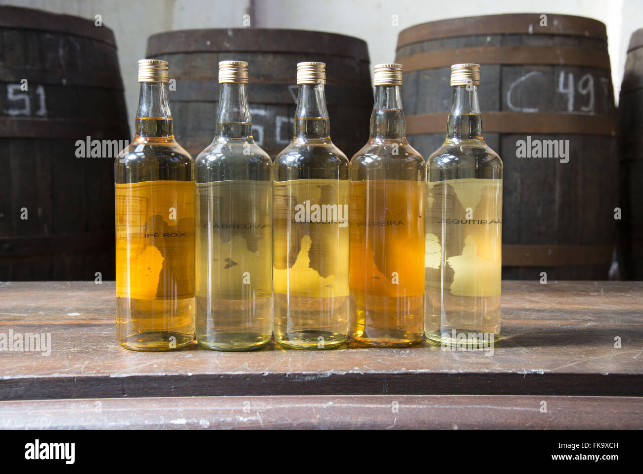 Les spiritueux de spécialité dans différents types de barils Banque D'Images