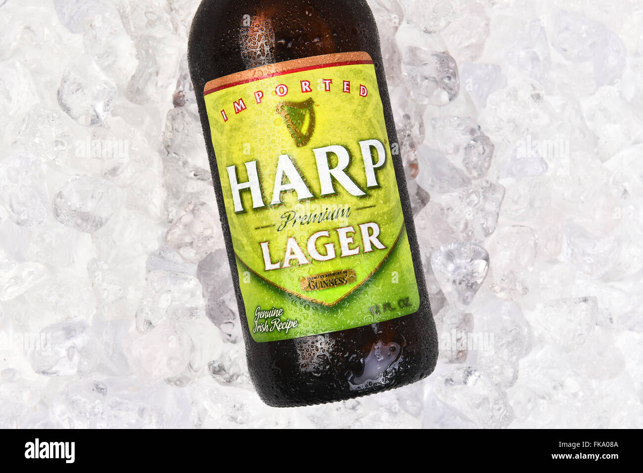 Harp Lager bouteille sur un lit de glace, format horizontal gros plan de l'étiquette.. Banque D'Images