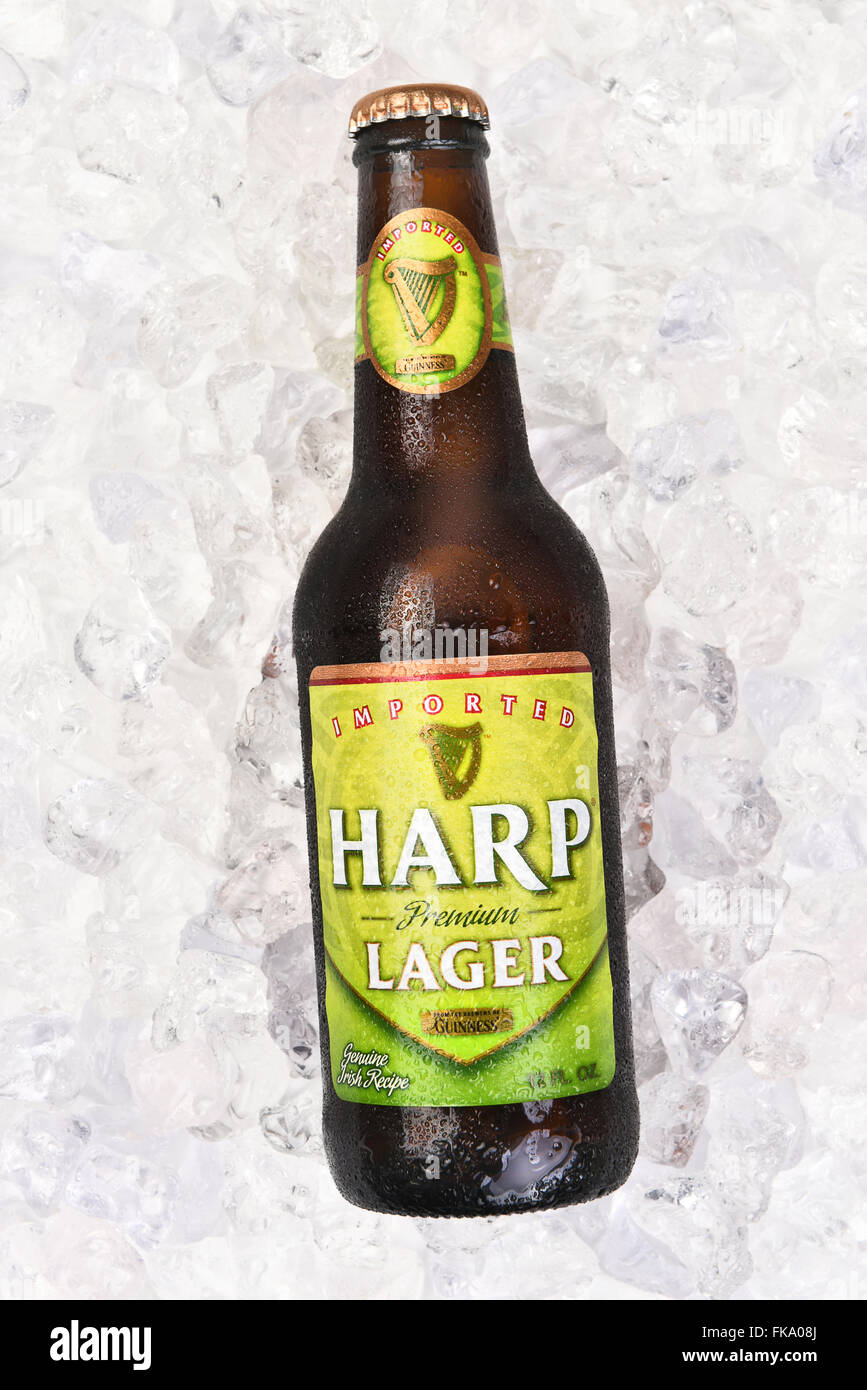 Harp Lager bouteille sur un lit de glace, format vertical. Banque D'Images