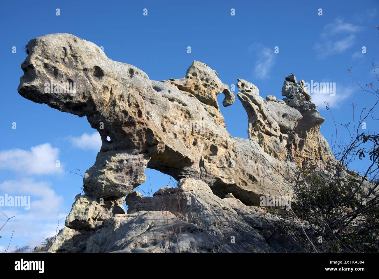 La formation de grès dans le Parc National de Catimbau Banque D'Images