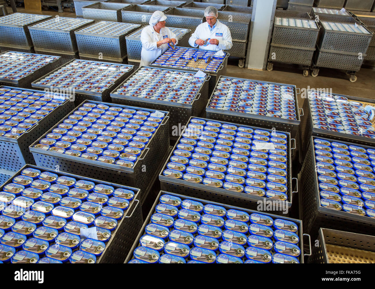 Karlsruhe, Allemagne. 3e Mar, 2016. Conserves de poisson en cours de vérification par l'usine manager Carsten Mueller à Rügen Fisch AG in Sassnitz, Allemagne, 3 mars 2016. Selon l'information de l'entreprise, 70 millions de boîtes de crème de tomates en filet de maquereau, hareng au curry-ananas-sauce, scomber mix et d'autres sortes sont produits chaque année. L'entreprise est leader du marché de l'Allemagne avec d'autres usines à Luebeck, Rostock et la Lituanie. Début février 2016, transformateur de poisson asiatique Thai Union européenne ont acheté 51  % des actions pour 42,2 millions d'Euros. PHOTO : JENS BUETTNER/dpa/Alamy Live News Banque D'Images