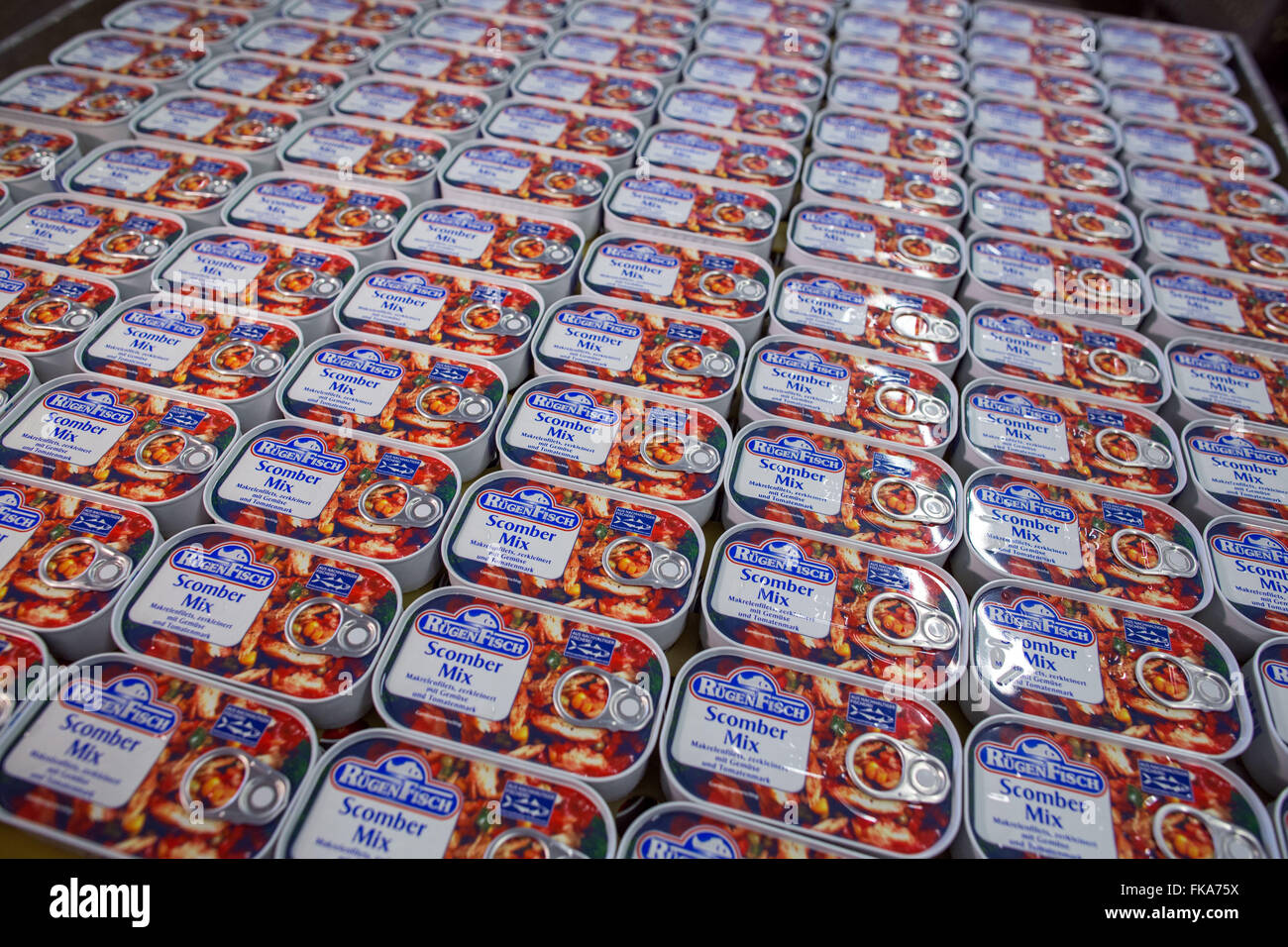 Karlsruhe, Allemagne. 3e Mar, 2016. Conserves de poisson peut être vu à Rügen Fisch AG in Sassnitz, Allemagne, 3 mars 2016. Selon l'information de l'entreprise, 70 millions de boîtes de crème de tomates en filet de maquereau, hareng au curry-ananas-sauce, scomber mix et d'autres sortes sont produits chaque année. L'entreprise est leader du marché de l'Allemagne avec d'autres usines à Luebeck, Rostock et la Lituanie. Début février 2016, transformateur de poisson asiatique Thai Union européenne ont acheté 51  % des actions pour 42,2 millions d'Euros. PHOTO : JENS BUETTNER/dpa/Alamy Live News Banque D'Images