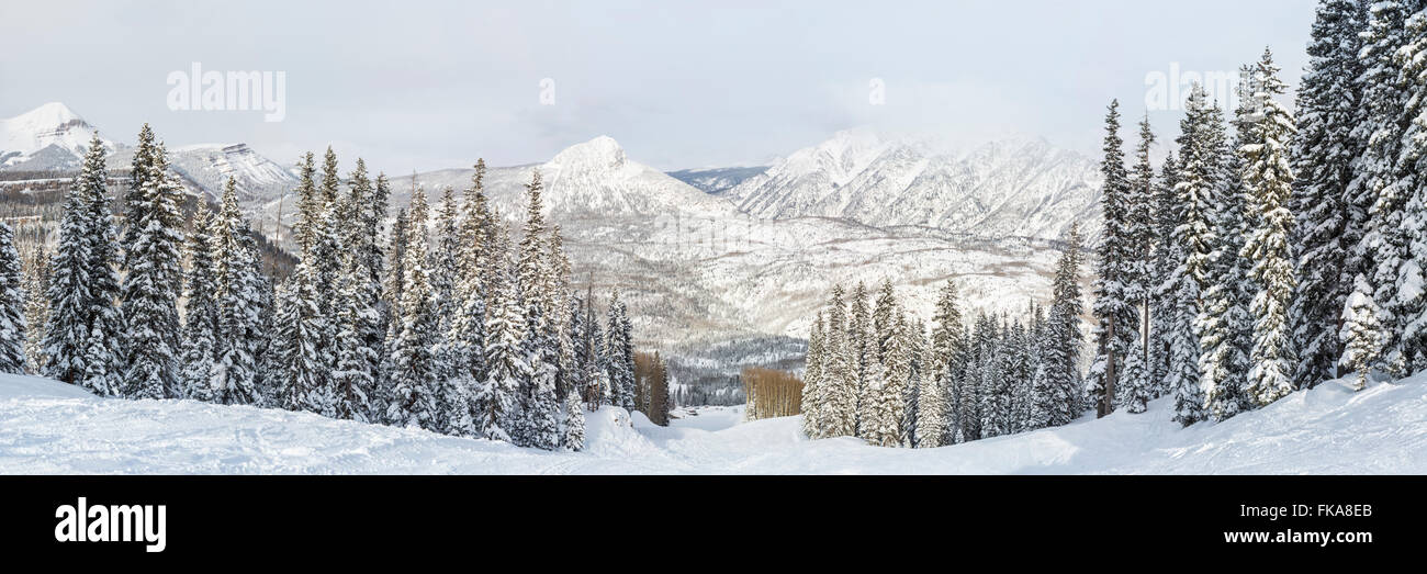 Une vue panoramique de l'Hadès tourner au purgatoire de Ski après un blizzard, dans la Forêt Nationale de San Juan dans le Colorado. Banque D'Images