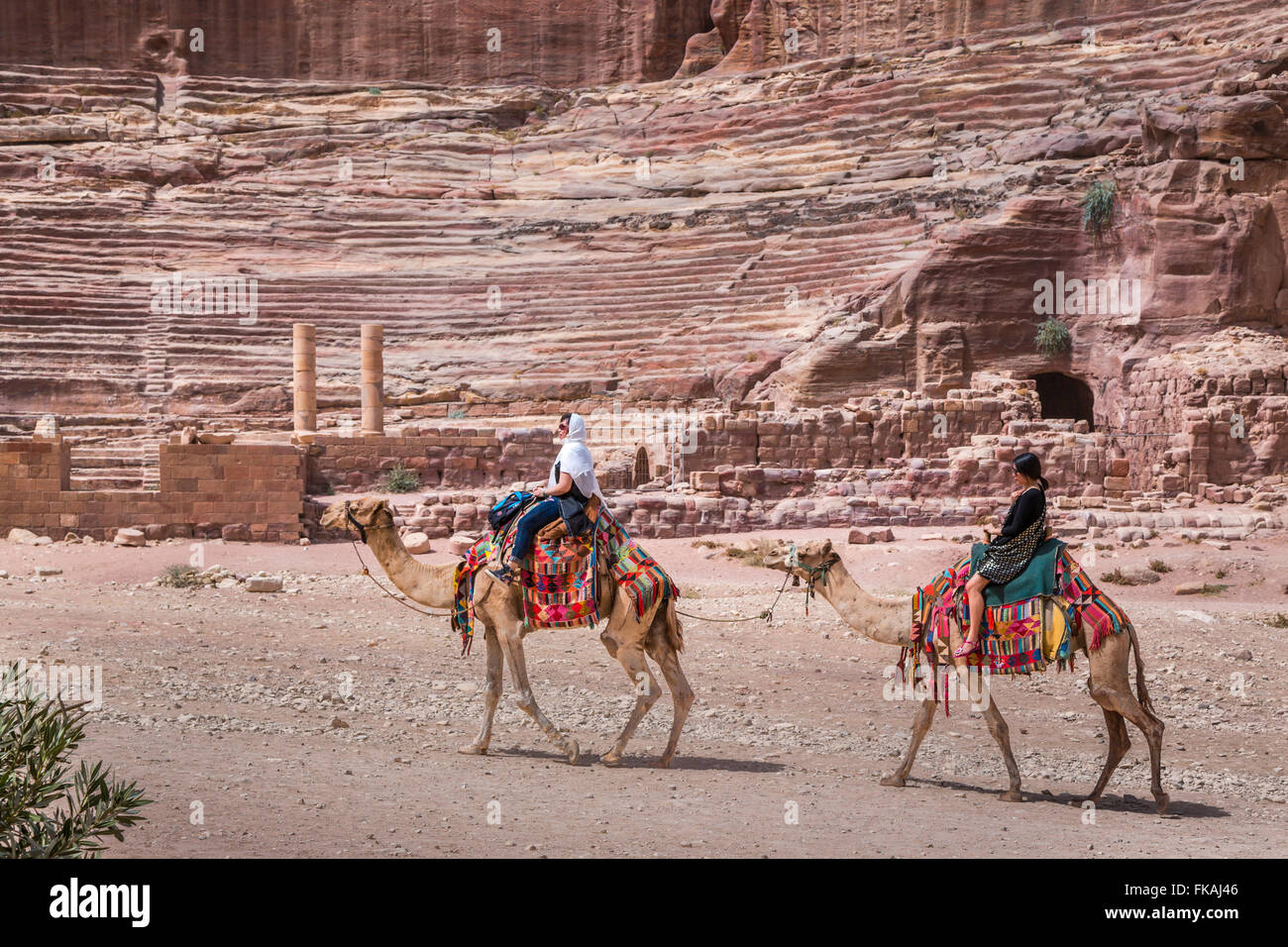 Chameaux avec des couvertures colorées dans les ruines de Pétra, Royaume hachémite de Jordanie, Moyen-Orient. Banque D'Images