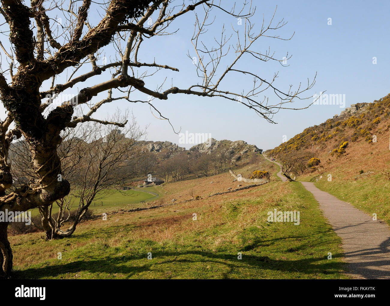 Lynton Lynmouth Devon du Nord La Vallée des Roches Petite Suisse Banque D'Images