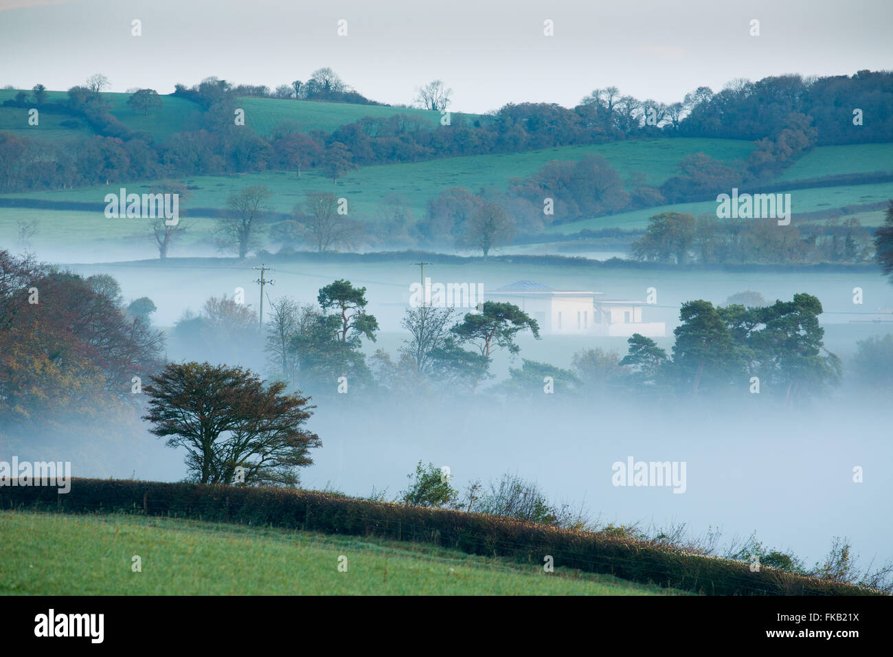 Mist couché dans la vallée à Milborne Wick, Somerset, Angleterre Banque D'Images